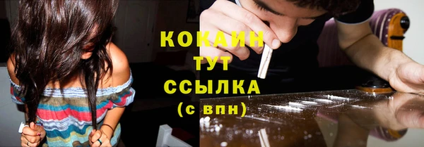 ешки Гусев